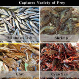 6/8/10 Holes Fishing Net Small Foldable Square Folding Shrimp Eel Lobster Trap - 8Holes