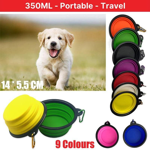 Collapsible Silicone Pet Bowl for Cat Dog Portable Food and Water Feeder - White