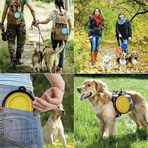 Collapsible Silicone Pet Bowl for Cat Dog Portable Food and Water Feeder - White