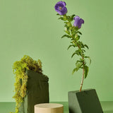 Floral Foam Blocks for Dry Wet Artificial Flower Arrangements Florist Supplies - Wet 2PCS