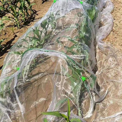 Agricultural Insect-proof Greenhouse Net for Fruit Vegetable Plant Protection - 250CMx6M