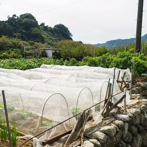 Agricultural Insect-proof Greenhouse Net for Fruit Vegetable Plant Protection - 250CMx6M