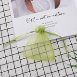 50/100PCS Garden Fruit Protection Net Bags Insect Proof Drawstring Mesh Organza - 50Pcs 17x23cm