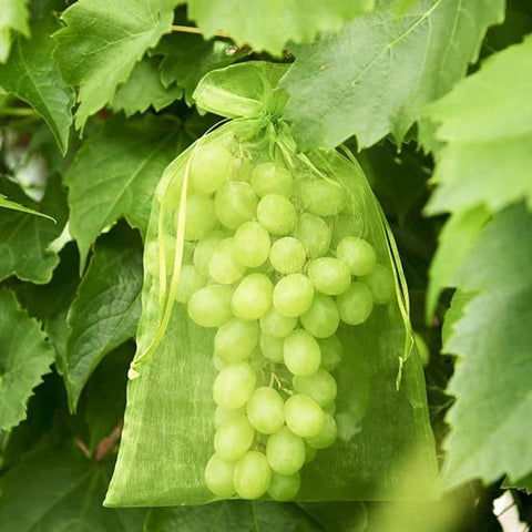 50/100PCS Garden Fruit Protection Net Bags Insect Proof Drawstring Mesh Organza - 50Pcs 17x23cm