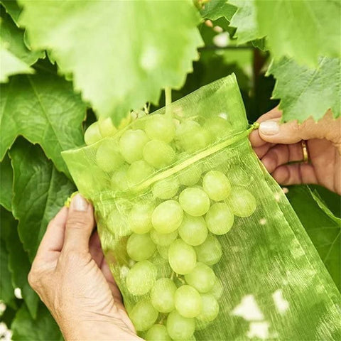 50/100PCS Garden Fruit Protection Net Bags Insect Proof Drawstring Mesh Organza - 50Pcs 20x30cm