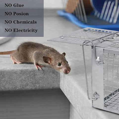 Humane Rat Trap Cage Live 1 Door Animal Catch Pest Rodent Mouse Bait Control Box