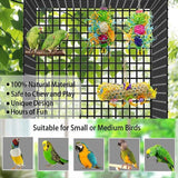3PCS Bird Parrot Shredding Toys Chewing Foraging Hanging Cage Shredder Bell Toys
