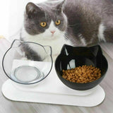 Double Cat Dog Bowl Elevated Pet Feeder Stand Raised Food Water Feeding Dish - Black+Transparency