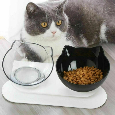 Double Cat Dog Bowl Elevated Pet Feeder Stand Raised Food Water Feeding Dish - Black+Transparency