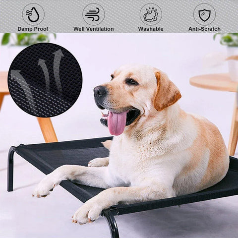 Heavy Duty Pet Raised Bed Elevated Trampoline Hammock Cat Dog Raised Deluxe - L