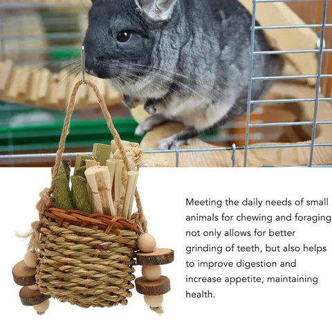 Pet Teething Stick Set Chew Toys for Hamster Dental Care Small Animal Supplies
