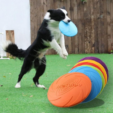 Frisbee Toy for Dogs Outdoor Fetch Training Soft Rubber Pet Flying Disc 18cm - Green
