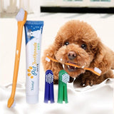 Pet Dog Teeth Cleaning Toothpaste with Toothbrush and Backup Brush Vanilla Flavoured