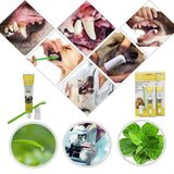 Pet Dog Cat Toothpaste and Toothbrush Set Beef Flavor