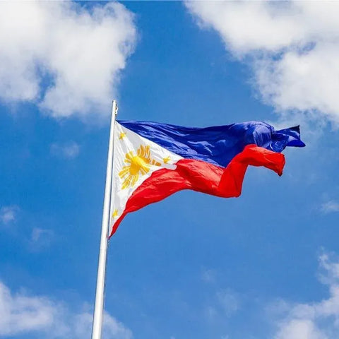Large Philippines Flag 90 x 150 cm Outdoor Indoor Polyester with Eyelets