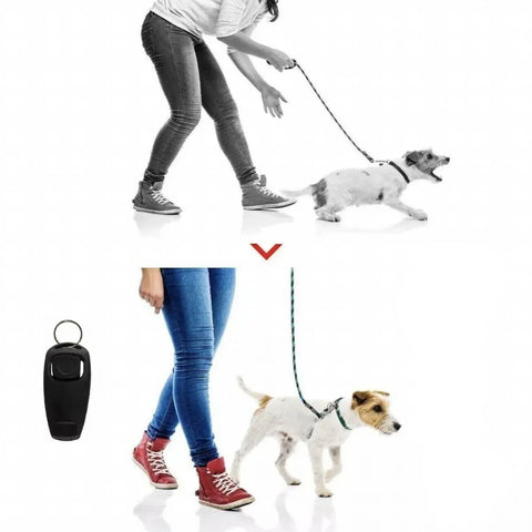 Dog Whistle and Clicker Set for Training Stop Barking Obedience Tool Combo - Pink