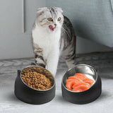 Pet Dog Cat Food Bowl Raised No Slip Stainless Steel Tilted Water Food Feeder - Matcha Green