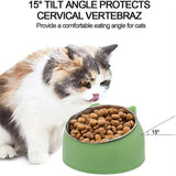 Pet Dog Cat Food Bowl Raised No Slip Stainless Steel Tilted Water Food Feeder - Matcha Green