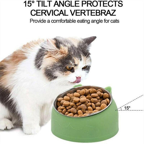 Pet Dog Cat Food Bowl Raised No Slip Stainless Steel Tilted Water Food Feeder - Matcha Green