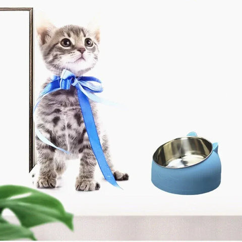 Pet Dog Cat Food Bowl Raised No Slip Stainless Steel Tilted Water Food Feeder - Matcha Green