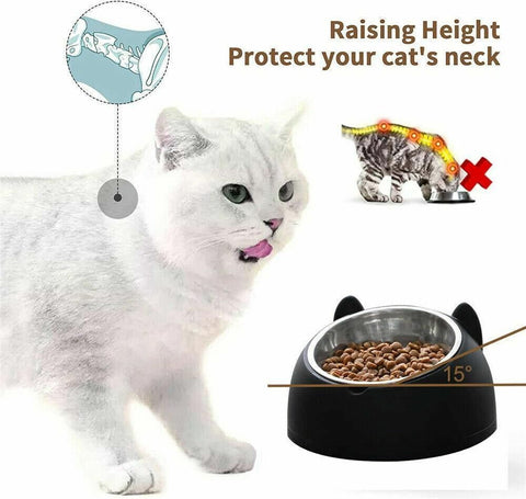 Pet Dog Cat Food Bowl Raised No Slip Stainless Steel Tilted Water Food Feeder - Matcha Green