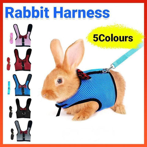 Rabbit Vest Harness Leash Lead Small Animal Pet Mesh Hamster Bunny Traction Rope L - Grey