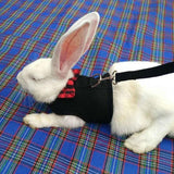 Rabbit Vest Harness Leash Lead Small Animal Pet Mesh Hamster Bunny Traction Rope L - Grey
