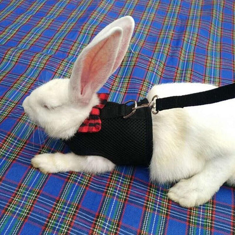 Rabbit Vest Harness Leash Lead Small Animal Pet Mesh Hamster Bunny Traction Rope L - Grey