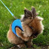 Rabbit Vest Harness Leash Lead Small Animal Pet Mesh Hamster Bunny Traction Rope L - Grey