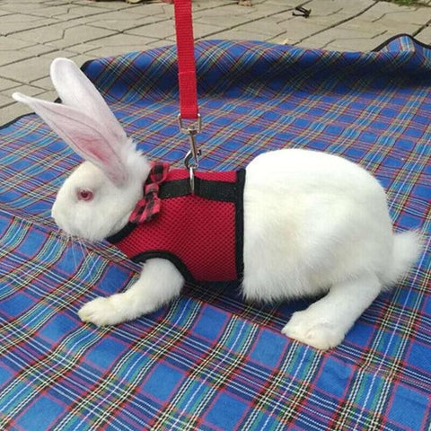 Rabbit Vest Harness Leash Lead Small Animal Pet Mesh Hamster Bunny Traction Rope L - Grey