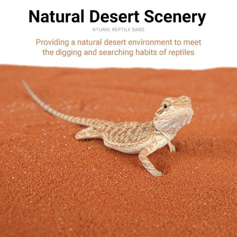 Reptile Sand Climbing Mat Pet Feeding Box Terrarium Landscaping Accessories - Orange