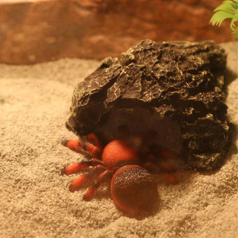 Pet Sand for Tortoises Snakes Lizards Spiders Multi-colour Reptile Habitat Decor - Grey Blue
