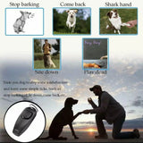 Dog Whistle and Clicker Set for Training Stop Barking Obedience Tool Combo - Sky Blue