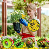 10X Dual Sided Sticky Trap Insect Killer Whitefly Thrip Fruit Fly Gnat - Sunflower 20PCS