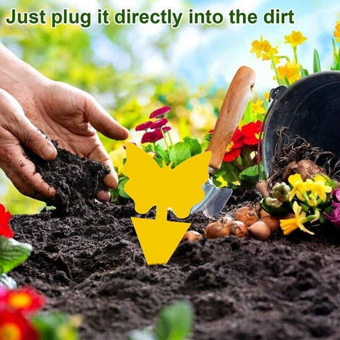 10X Dual Sided Sticky Trap Insect Killer Whitefly Thrip Fruit Fly Gnat - Sunflower 20PCS