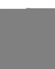 Invicta Men's Beige Cotton T-Shirt - XL