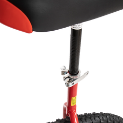 24'' Pro Circus Unicycle Bike
