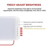 RV Caravan Interior LED Ceiling Light