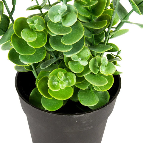 Potted Artificial Eucalyptus Plant 27cm