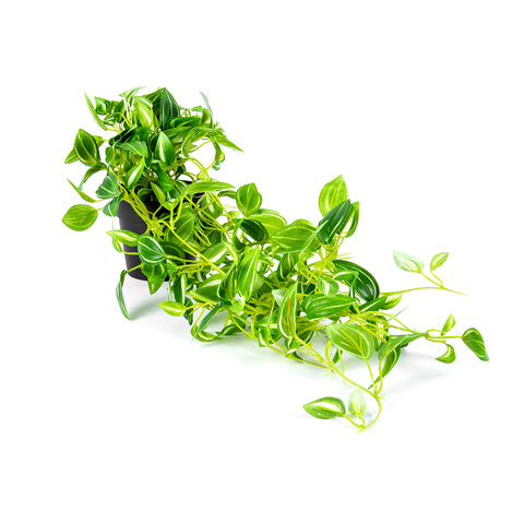 Potted Hanging Faux Green Weeper 72cm