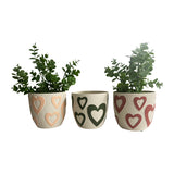 Set 3 Assorted Colour Heart Planters w Hole + Plug 13cm