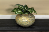 Hammered Squat Bowl Lip-Antique Gold 28x21cm