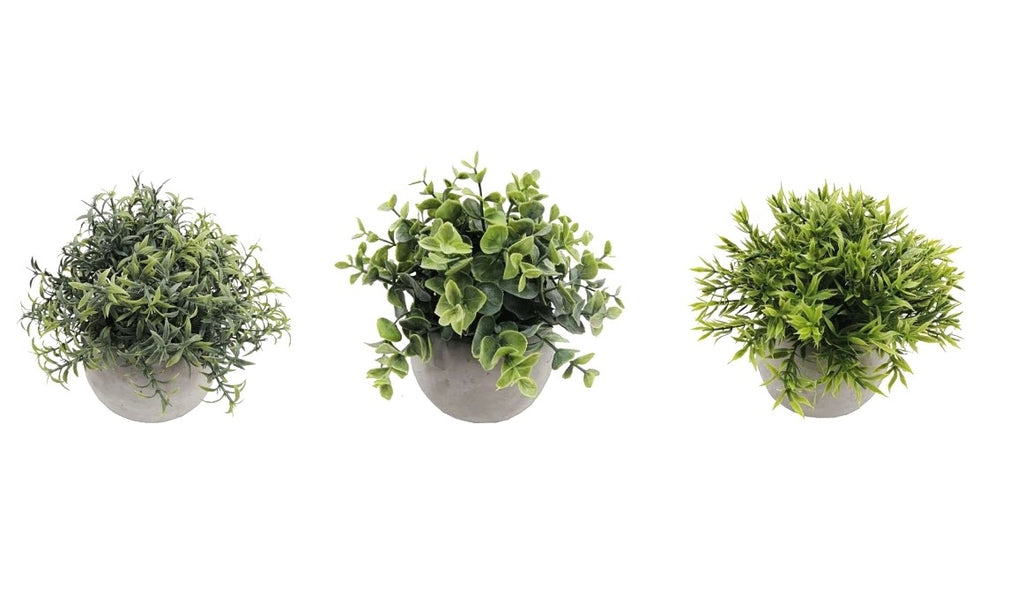 Set 3 Artificial Plant in Cement Pot Assort 18cm