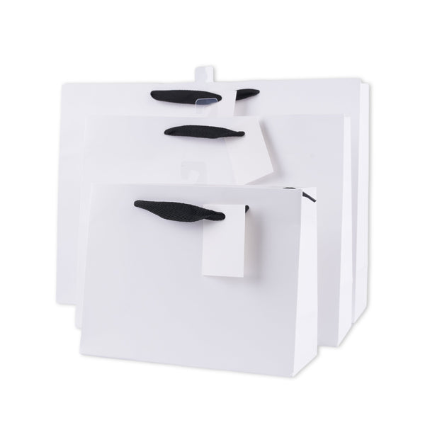 bulk 24 Xlarge Landscape Gift Bags w Handle 31x42cm