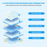 200pcs Dog Absorbent Training Pad 60 x 60 cm