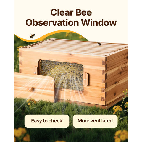 Bee Hive 20 Frame Bee Hives Starter Kit, Beeswax Coated Cedar Wood, 1 Deep + 1 Medium Bee Boxes Langstroth Beehive Kit, Transparent Acrylic Windows with Foundations for Beginners Pro Beekeepers