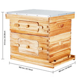 Bee Hive 20 Frame Bee Hives Starter Kit, Beeswax Coated Cedar Wood, 1 Deep + 1 Medium Bee Boxes Langstroth Beehive Kit, Transparent Acrylic Windows with Foundations for Beginners Pro Beekeepers