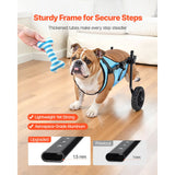 Dog Wheelchair for Back Legs, Adjustable 2 Wheels Pet Wheelchair, Lightweight Dog Cart with Shock-Absorbing Wheels, Mobility Support Wheel Chair for Disabled Injured Dogs up to 15kg, Medium