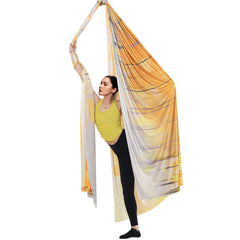 VEVOR Aerial Yoga Hammock & Swing, 5 m Length, Aerial Yoga Starter Kit with 100gsm Nylon Fabric, Full Rigging Hardware & Easy Set-up Guide, Antigravity Flying for All Levels Fitness Bodybuilding, Gold