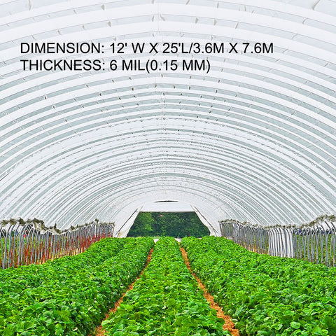 Greenhouse Film, Greenhouse Polyethylene Film 12x25 ft Greenhouse Plastic